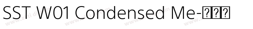 SST W01 Condensed Me字体转换